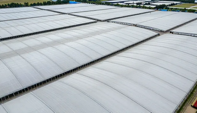 在线建站误区:自建与外包的取舍分析