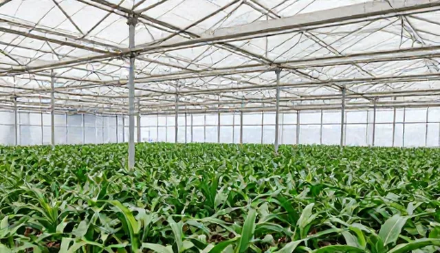 用户留存率下降的根源分析及应对策略