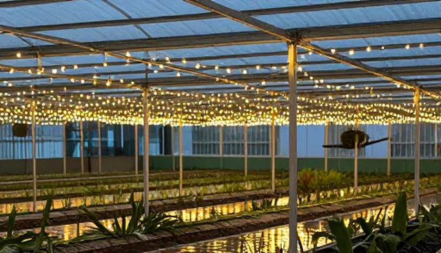 基础建站套餐适用条件及选择依据