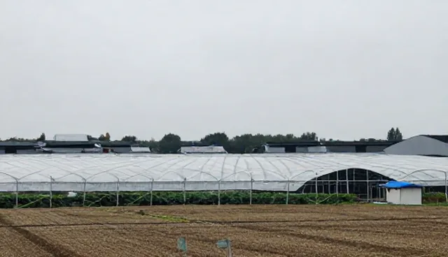 长沙网页制作公司如何选择适合的营销型网站套餐