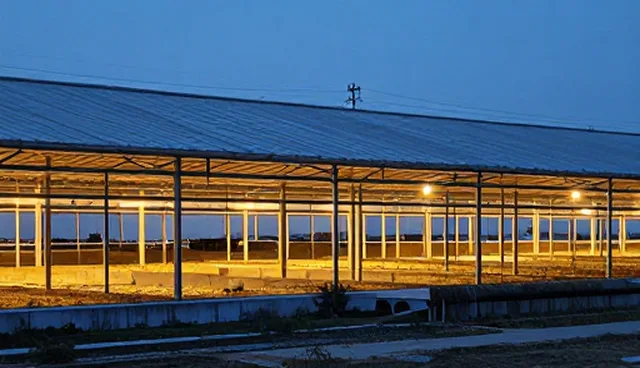 湛江网站建设中基础建站套餐如何影响网站效果